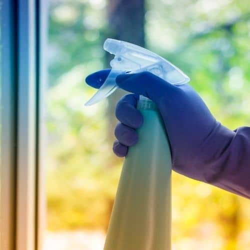 Professional house cleaning services in Wayland, MA and surrounding areas.